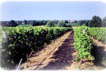 Domaine De Lagajan Pontouat