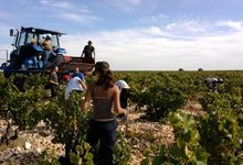 Domaine des 3 Cellier