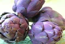 artichaud violet du Roussillon