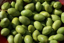 olive (picholine) de Nîme