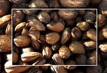 amandes