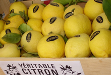 citron de menton
