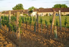 Vignoble Loubery Chateau Haut Mayne