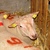 mouton charollais