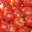 tomates