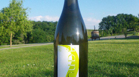 Blanc Sec Colombard – Gros-Manseng-Sauvignon 2010