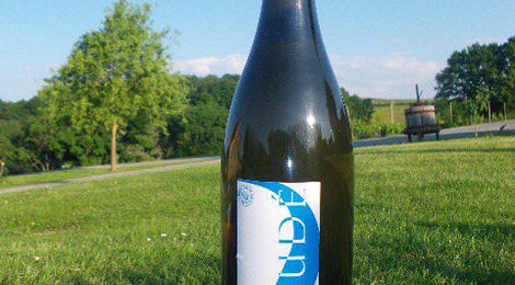 Blanc Sec Petit Manseng -  Sauvignon