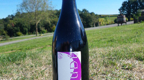 Rouge Tannat 
