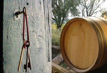 Domaine clos Massotte