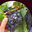 Domaine Parcé