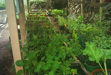 les jardins de malbos