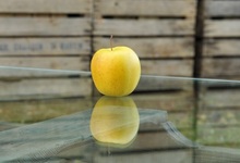 Pomme de Saint-Martin-d'Auxigny