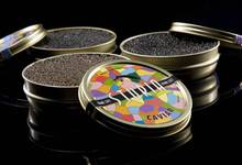 Producteur Sturgeon, caviar d'aquitaine STURIA