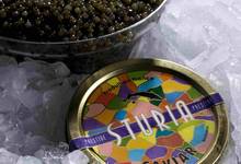 Producteur Sturgeon, caviar d'aquitaine STURIA