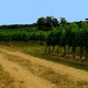 Gascogna Vins & Armagnacs