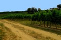 Gascogna Vins & Armagnacs