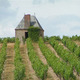 Château de la Mulonnière