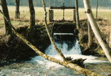 ruisseau de l'abbaye