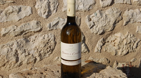 Vin blanc sec Bergerac 2010 - élevé en fûts de chêne