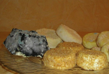 fromage chèvre
