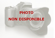 Saucisson de canard
