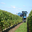 vendanges