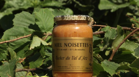 Pâte à tartiner miel noisettes