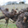 Domaine du Cardinat