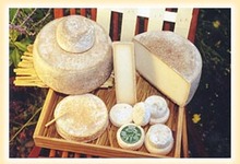 fromages chèvre