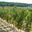 Domaine Fredavelle