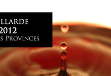 Salon des vins de Brive-la-Gaillarde 2012