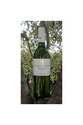IGP Pays d'Oc Blanc - Le Sauvignon 