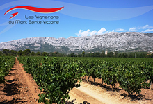 Association des Vignerons de la Sainte-Victoire