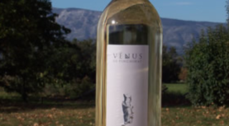 Vénus, vin de pays du Var, domaine Pinchinat
