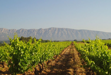 Domaine de l'Anticaille