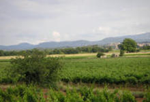 Domaine Saint Mitre