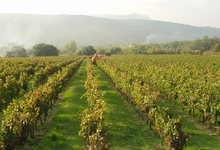 Domaine Ramatuelle