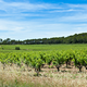 Château Mentone