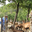 Les chèvres de Rocbaron, domaine de la Verrerie