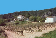 La Bastide Des Roseaux