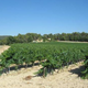 Domaine des roches blanches