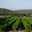 Domaine de Cambaret