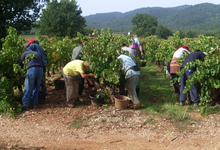 Domaine de Cambaret