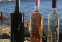 Le Vin ô Feminin