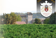 Château du Petit Sonnailler  