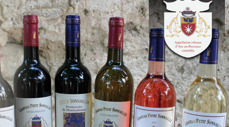chateau petit sonnailler