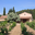 Domaine de la Crémade