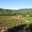 Domaine de la Crémade