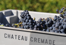 Domaine de la Crémade
