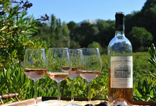 Domaine de la Crémade